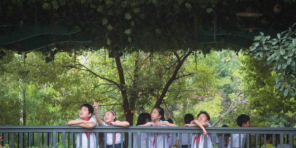 2020年我國(guó)兒童青少年總體近視率是52.7％：“后浪”能否看“透”一生？