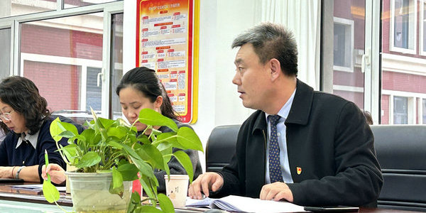 抓好基層黨建，小倫敦黨支部這樣做！